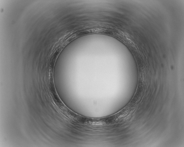 X0000061120645200511180910