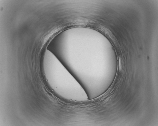X0000061120675200511180910