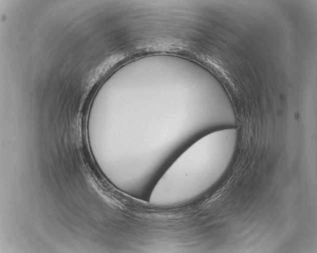 X0000061120678200511180910