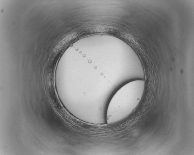 X0000061120683200511180910