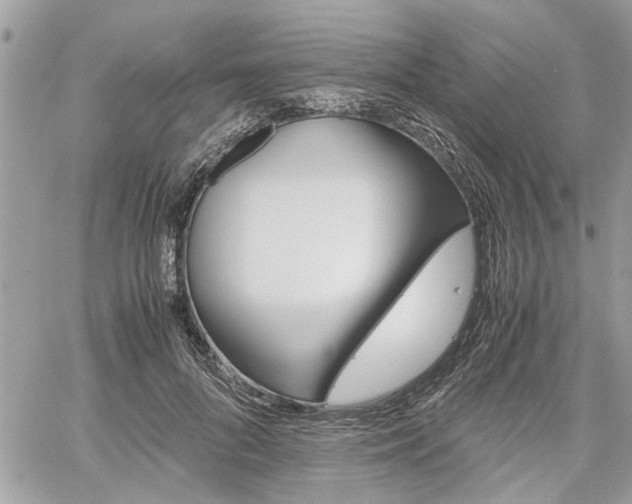 X0000061120696200511180910