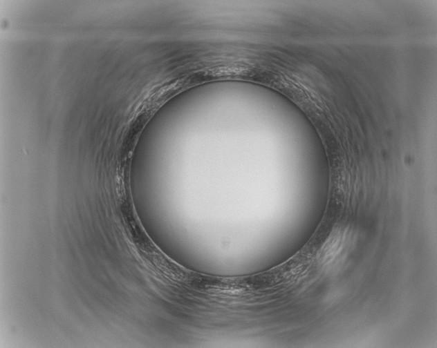 X0000061120743200511180909