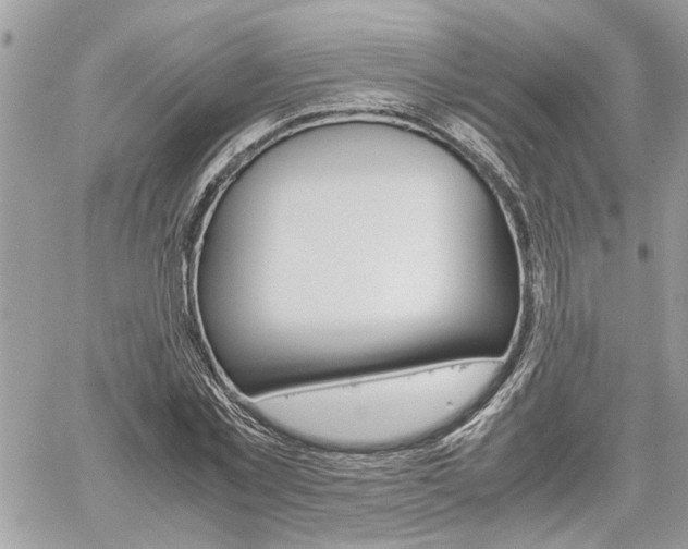 X0000061120781200511180908