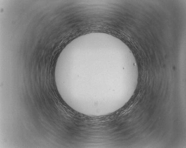 X0000061120818200511180907