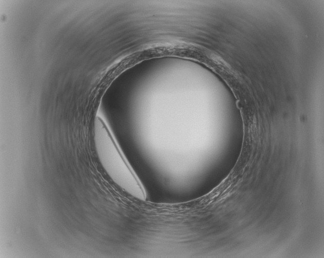 X0000061120822200511180907