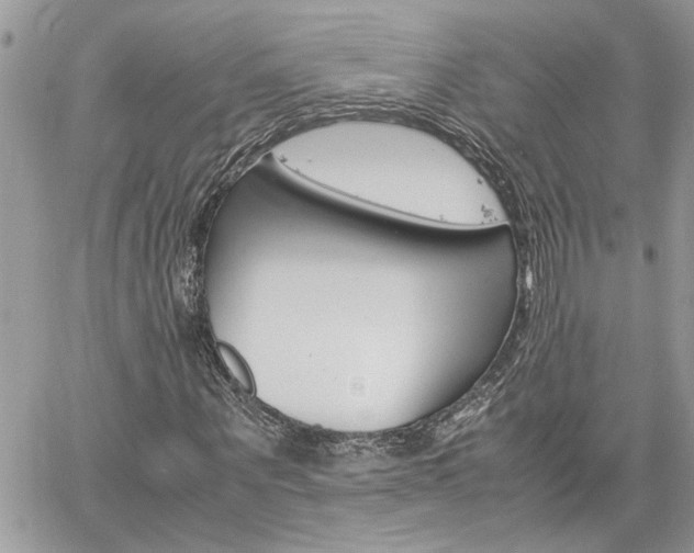 X0000061120867200511180907