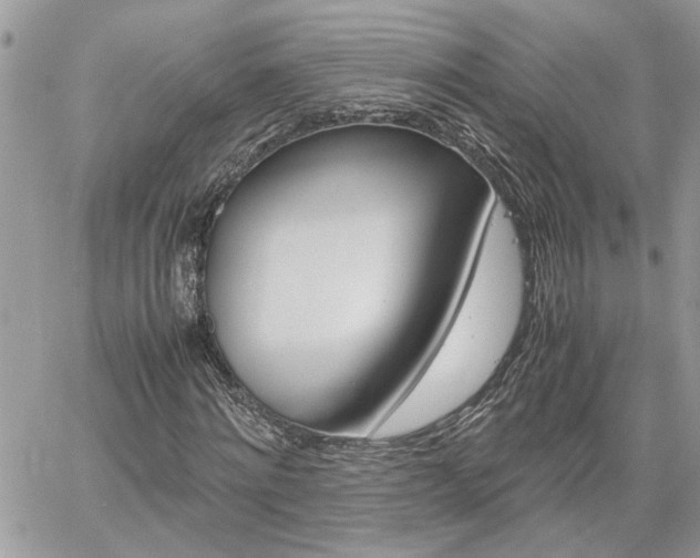 X0000061120868200511180907
