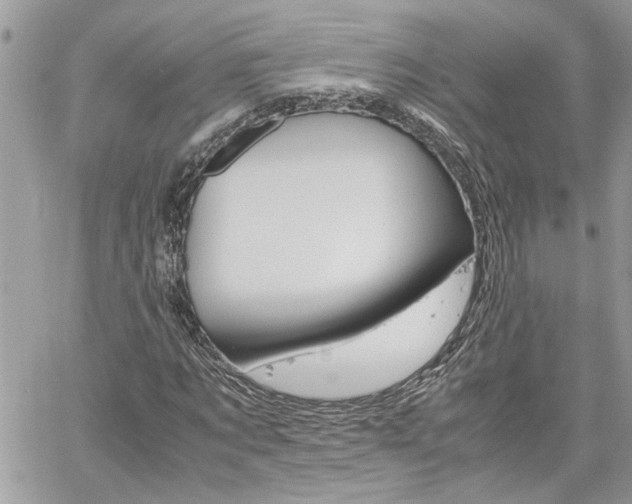 X0000061120869200511180907