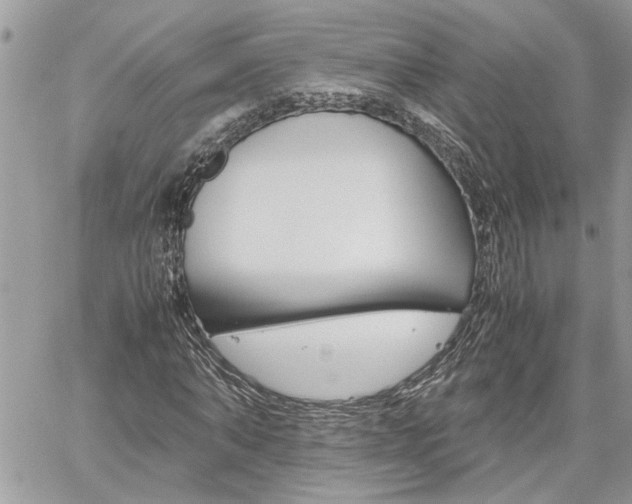X0000061120870200511180907