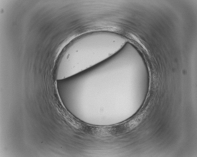X0000061120875200511180907