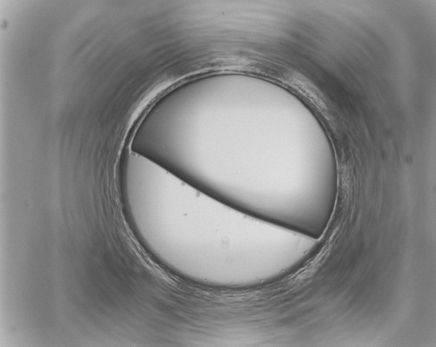 X0000061120891200511180906