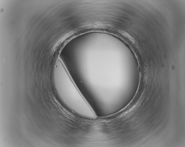 X0000061120922200511180905