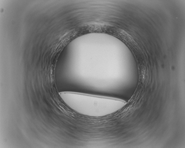 X0000061120964200511180905