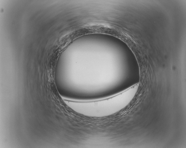 X0000061120965200511180905
