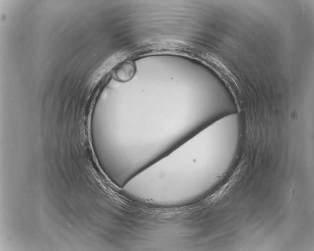 X0000061120978200511180905