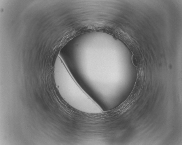 X0000061121012200511180904