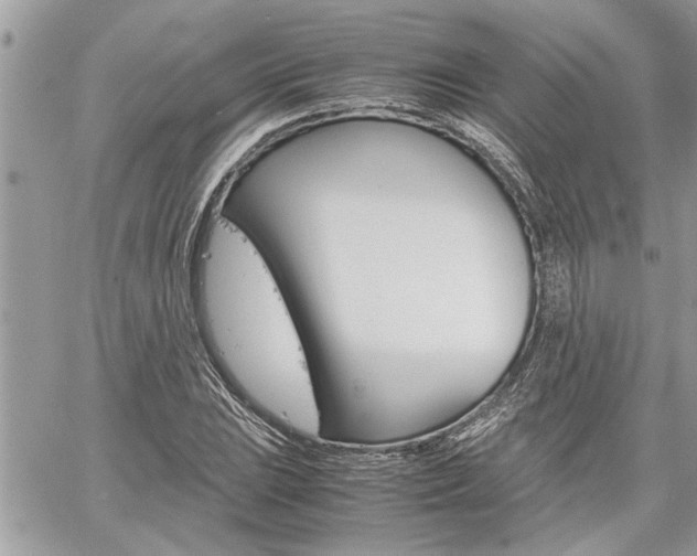 X0000061121023200511180904