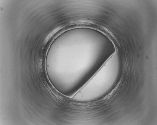 X0000061121066200511180903