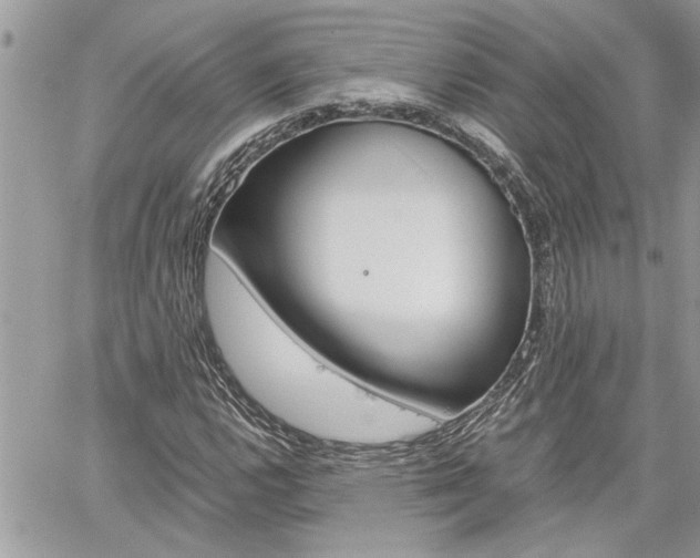 X0000061121112200511180902