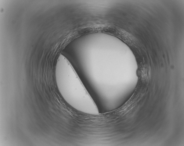 X0000061121204200511180901