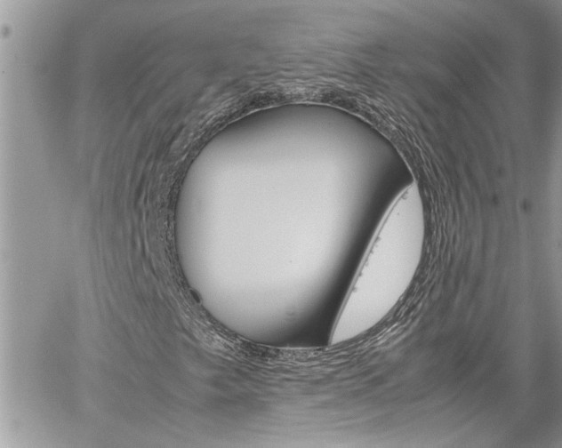 X0000061121249200511180901