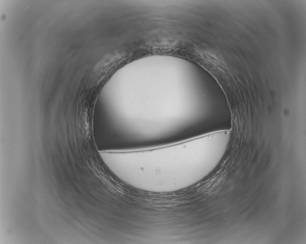 X0000061121252200511180900