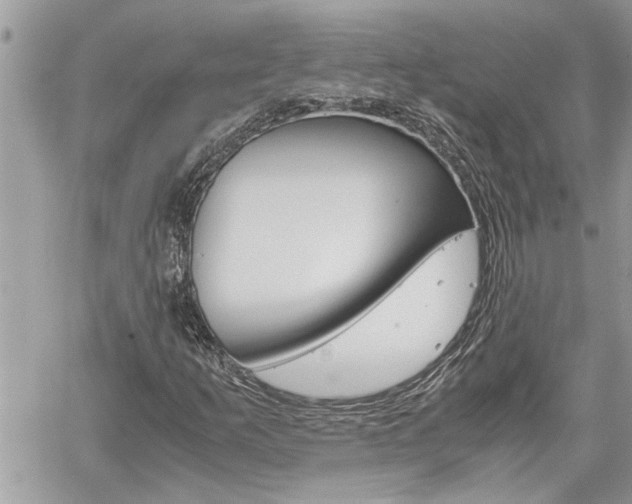 X0000061121253200511180900