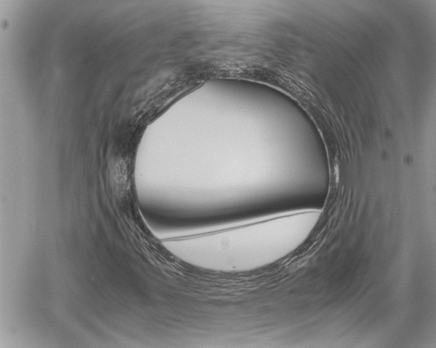 X0000061121347200511180859