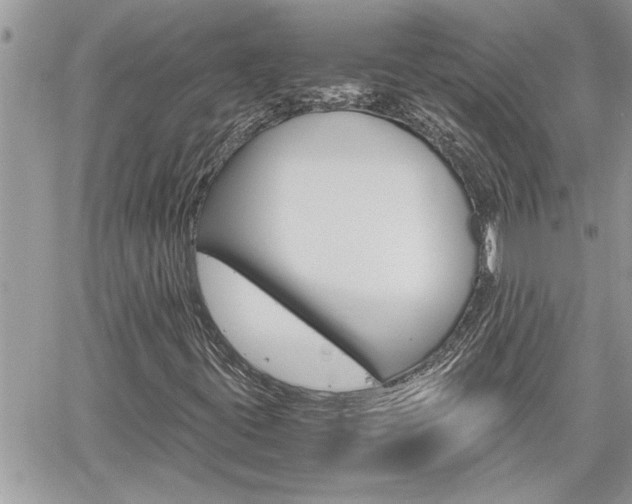X0000061121395200511180857