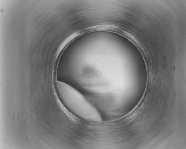 X0000061121426200511180858