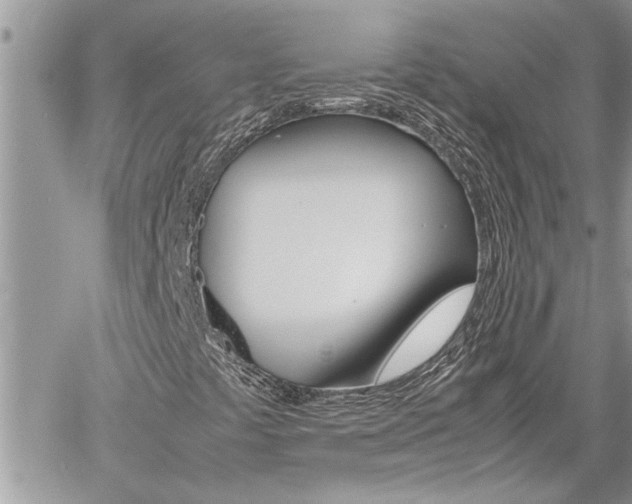 X0000061121441200511180857