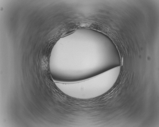 X0000061121443200511180857
