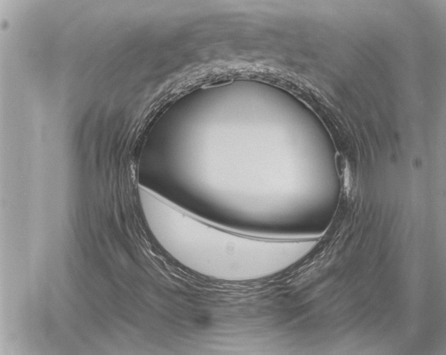 X0000061121492200511180856