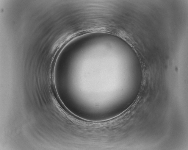 X0000061120002200511181126