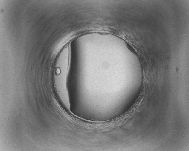 X0000061120005200511181126