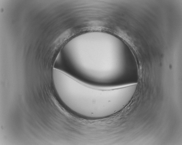 X0000061120013200511181126