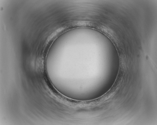 X0000061120016200511181126