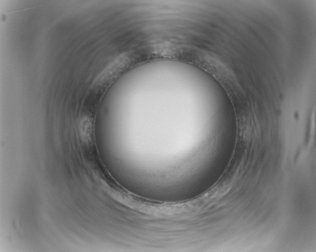X0000061120036200511181125