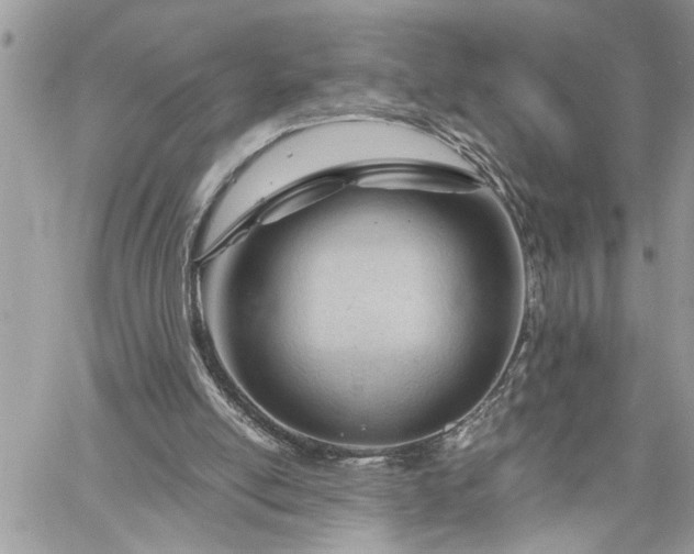 X0000061120054200511181124