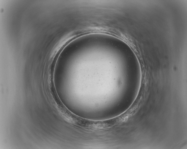 X0000061120103200511181124
