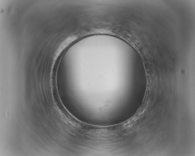X0000061120104200511181124