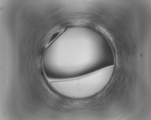 X0000061120105200511181124