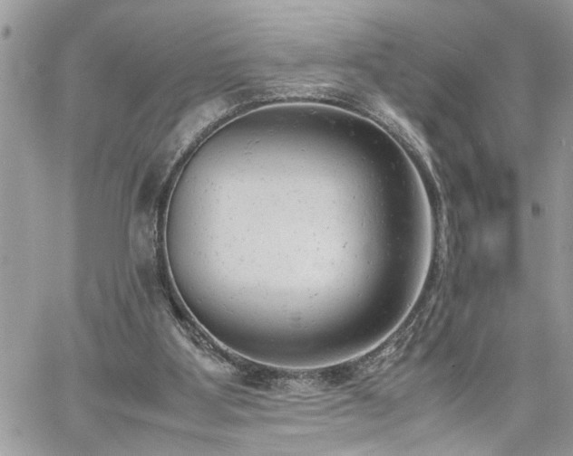 X0000061120107200511181124