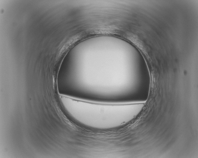 X0000061120109200511181124
