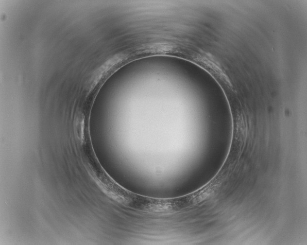X0000061120110200511181124