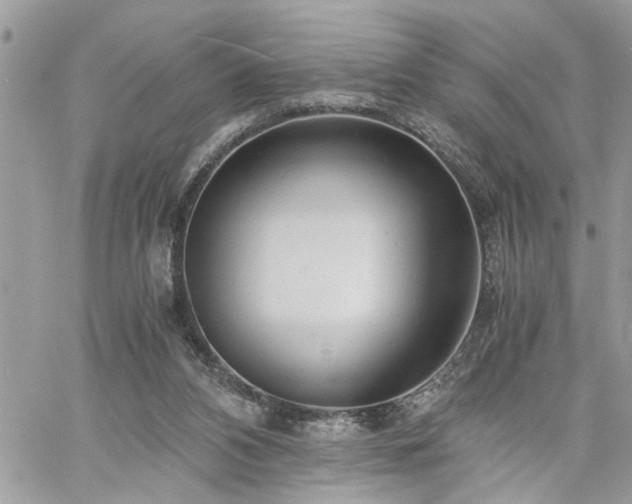 X0000061120112200511181124