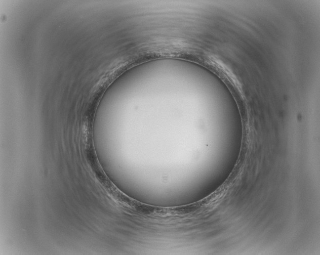 X0000061120113200511181124