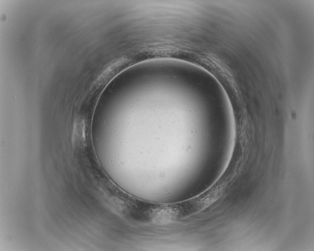X0000061120115200511181124