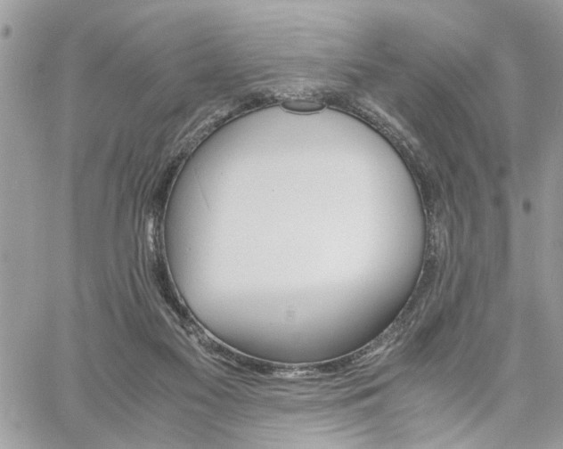 X0000061120117200511181124