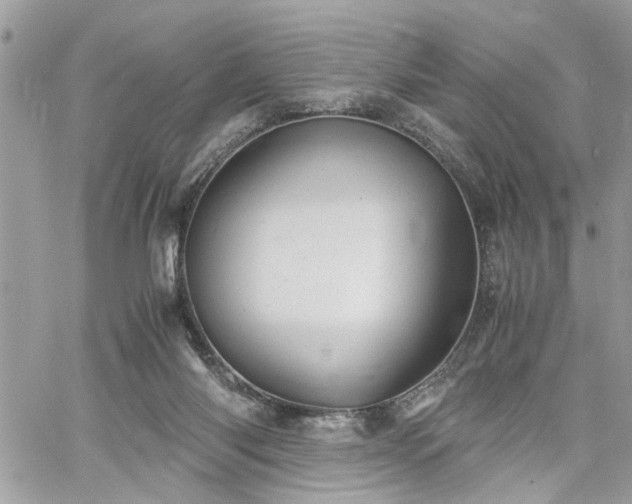 X0000061120118200511181124